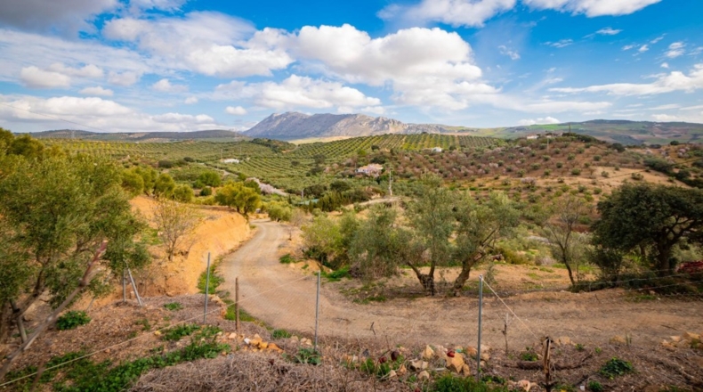 Málaga - Antequera - 167m2