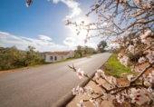 Finca rústica en venta en Antequera ref: TR412990 foto