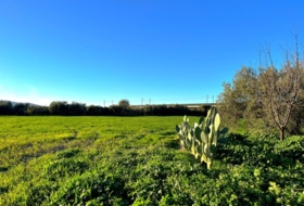 Antequera 76&nbsp;m²