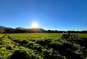 Antequera 76&nbsp;m²