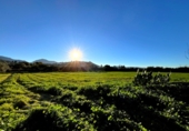 Masía con terreno en venta en Antequera ref: TR412995 foto