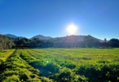 Masía con terreno en venta en Antequera ref: TR412995 foto
