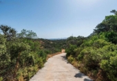 Masia with land for sale in Antequera ref: TR412993 photo