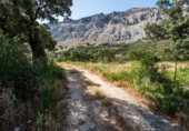 Masia with land for sale in Antequera ref: TR412993 photo
