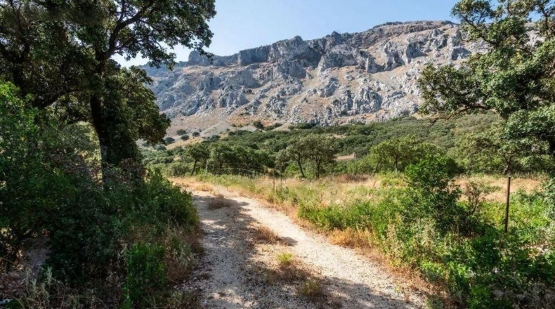 Málaga - Antequera - 154m2