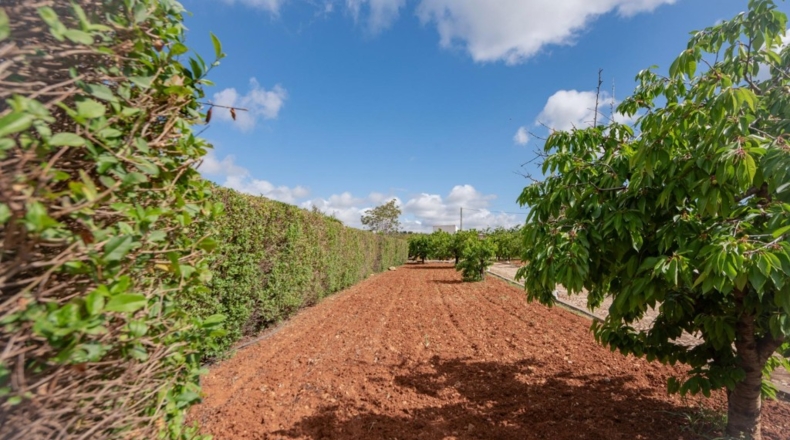 Málaga - Villanueva del Rosario - 132m2