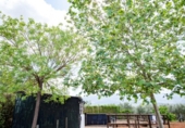 Chalet independiente con terreno en venta en Villanueva del Rosario ref: TR412996 foto