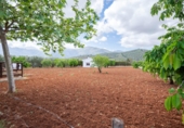 Chalet independiente con terreno en venta en Villanueva del Rosario ref: TR412996 foto