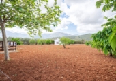 Chalet independiente con terreno en venta en Villanueva del Rosario ref: TR412996 foto