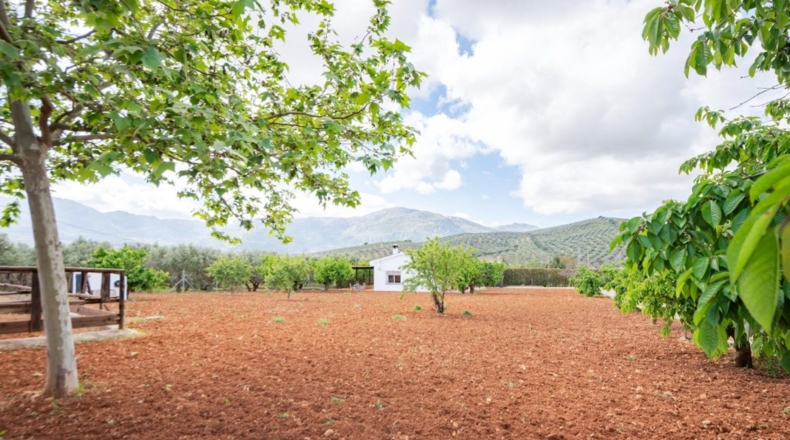 Málaga - Villanueva del Rosario - 132m2