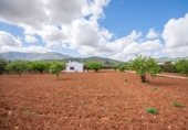 Chalet independiente con terreno en venta en Villanueva del Rosario ref: TR412996 foto