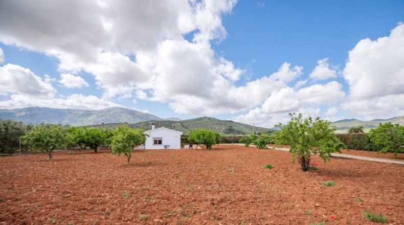 Málaga - Villanueva del Rosario - 132m2