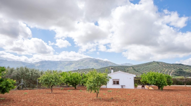 Málaga - Villanueva del Rosario - 132m2