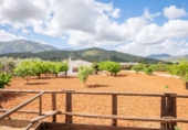 Chalet independiente con terreno en venta en Villanueva del Rosario ref: TR412996 foto