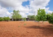 Chalet independiente con terreno en venta en Villanueva del Rosario ref: TR412996 foto