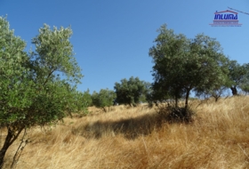 Jerez de los Caballeros 16100&nbsp;m²