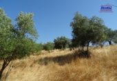Finca rústica en venta en Jerez de los Caballeros ref: TR413008 foto