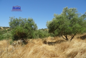 Jerez de los Caballeros 16100&nbsp;m²