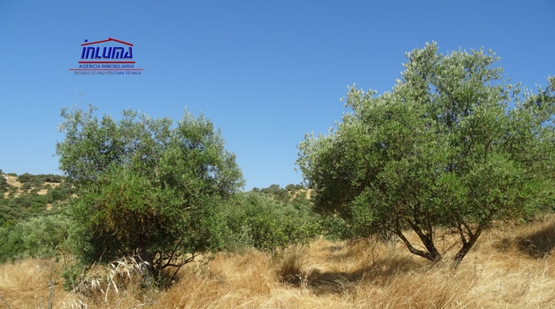 Badajoz - Херес-де-лос-Кабальерос - 16100m2