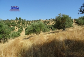 Jerez de los Caballeros 16100&nbsp;m²