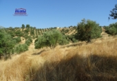 Finca rústica en venta en Jerez de los Caballeros ref: TR413008 foto