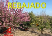 Terreno no urbanizable en venta en Las Cabezas de San Juan ref: TR391604 foto