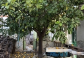 Urban land for sale in Dos Hermanas ref: TR413014 photo