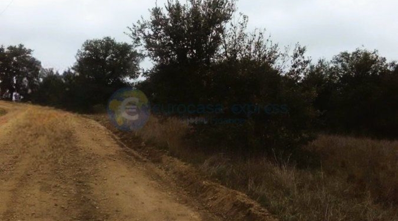 Toledo - Nombela - 5200m2