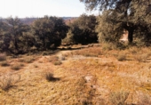Parcela urbanizable en venta en la España, Nombela, ref: TR74448 foto