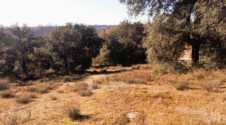 Toledo - Nombela - 5200m2