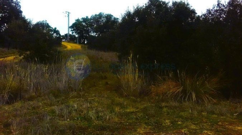 Toledo - Nombela - 5200m2
