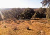 Parcela urbanizable en venta en la España, Nombela, ref: TR74448 foto