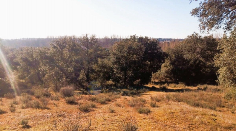 Toledo - Nombela - 5200m2