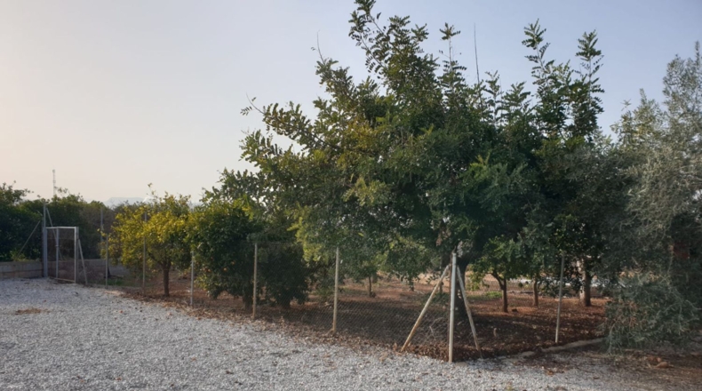 Castellon - Onda - 2180m2