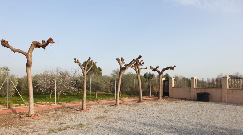 Castellon - Onda - 2180m2