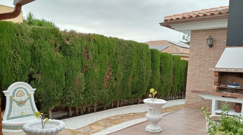 Murcia - Molina de Segura - 480m2