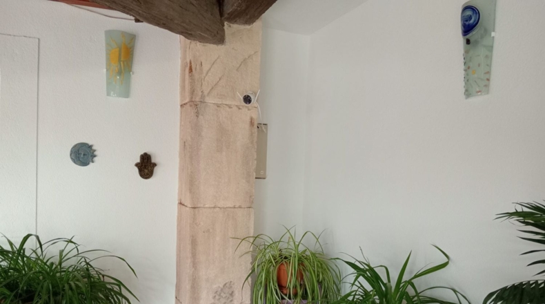 Murcia - Molina de Segura - 480m2
