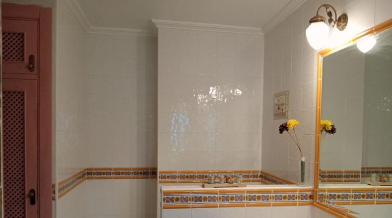 Murcia - Molina de Segura - 480m2