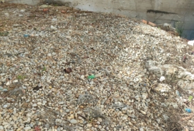 Huelva 250&nbsp;m²