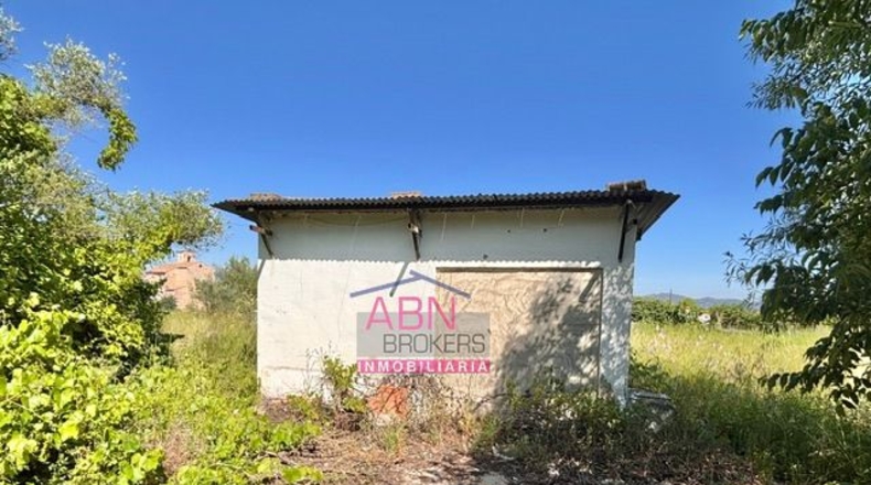 Valencia - Albaida - 7091m2