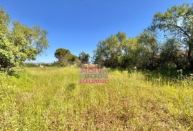 Albaida 7091&nbsp;m²