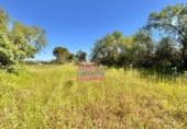 Finca rústica en venta en Albaida ref: TR413026 foto