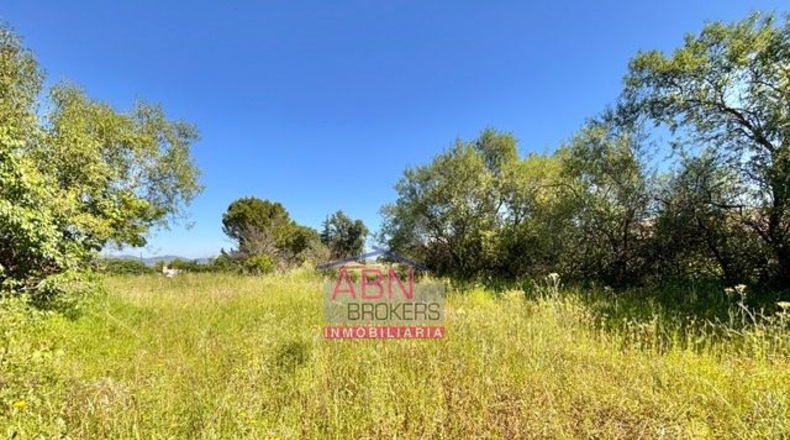 Valencia - Albaida - 7091m2