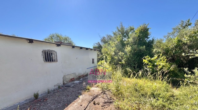 Valencia - Albaida - 7091m2
