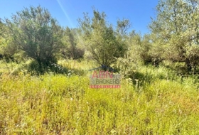 Albaida 7091&nbsp;m²