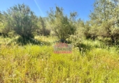 Finca rústica en venta en Albaida ref: TR413026 foto