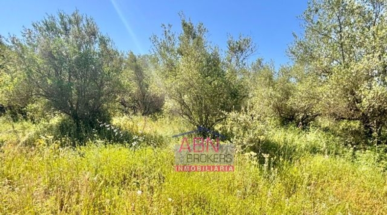 Valencia - Albaida - 7091m2