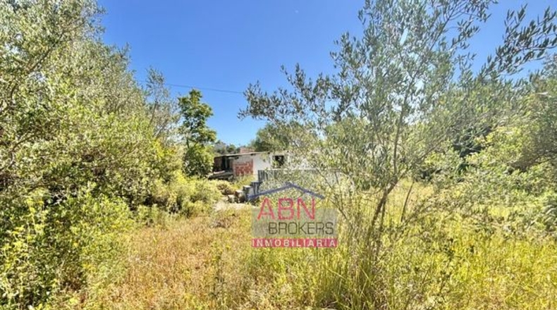 Valencia - Albaida - 7091m2