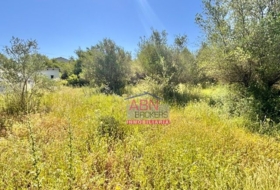 Albaida 7091&nbsp;m²