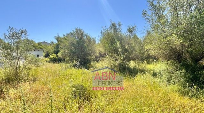 Valencia - Albaida - 7091m2